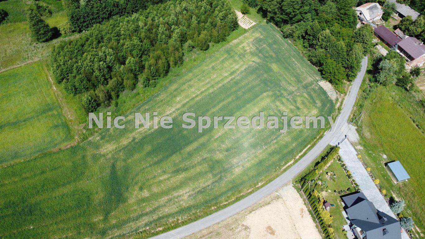 Działka budowlana na sprzedaż Gromnik, Siemiechów, Siemiechów, Siemiechów  1 500m2 Foto 5