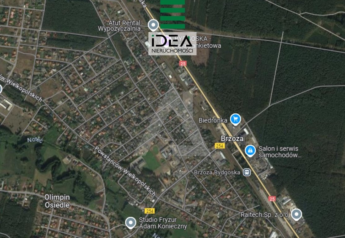 Działka budowlana na sprzedaż Brzoza  602m2 Foto 1