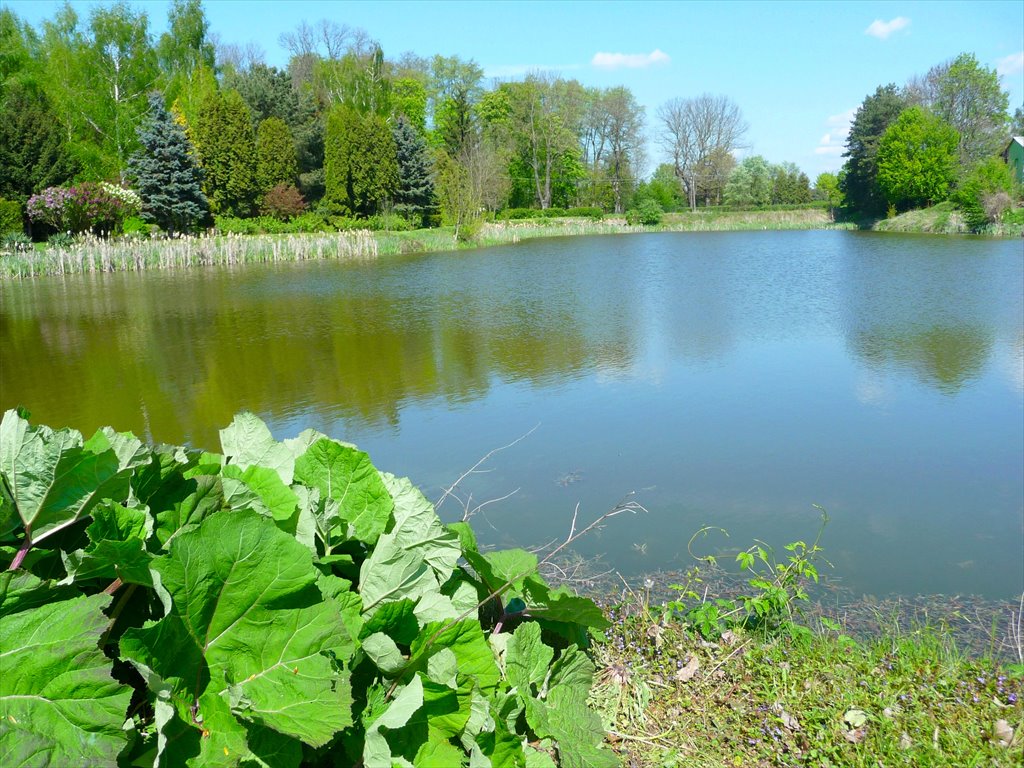 Działka rekreacyjna na sprzedaż powiat kutnowski  17 700m2 Foto 1