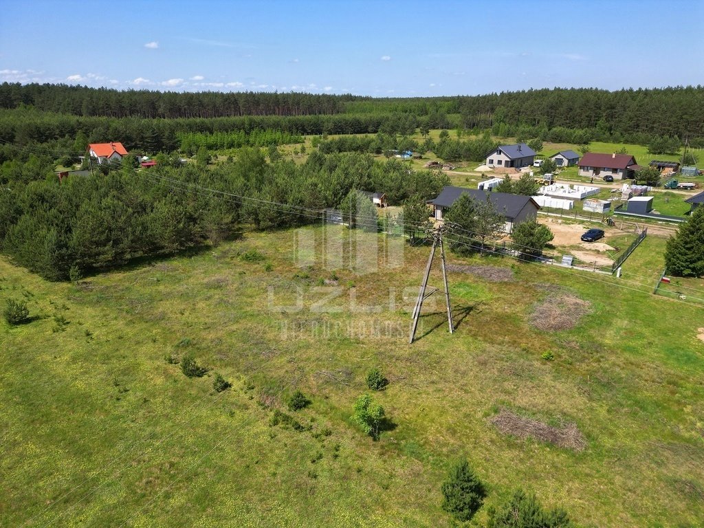 Działka budowlana na sprzedaż Cieciorka, Porzeczkowa  2 604m2 Foto 10