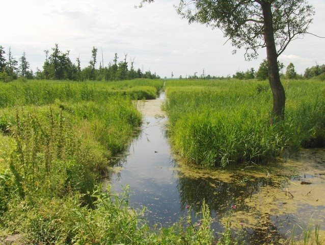Do sprzedania działka 3000 m² nad Jeziorem Dąbie z kanałami Komarowo  3 000m2 Foto 1