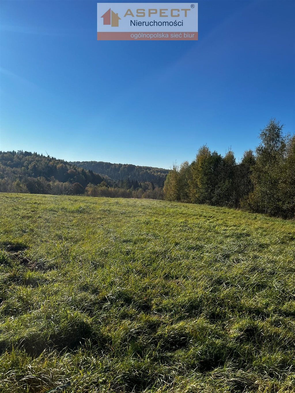 Działka budowlana na sprzedaż Wyręby  6 447m2 Foto 1