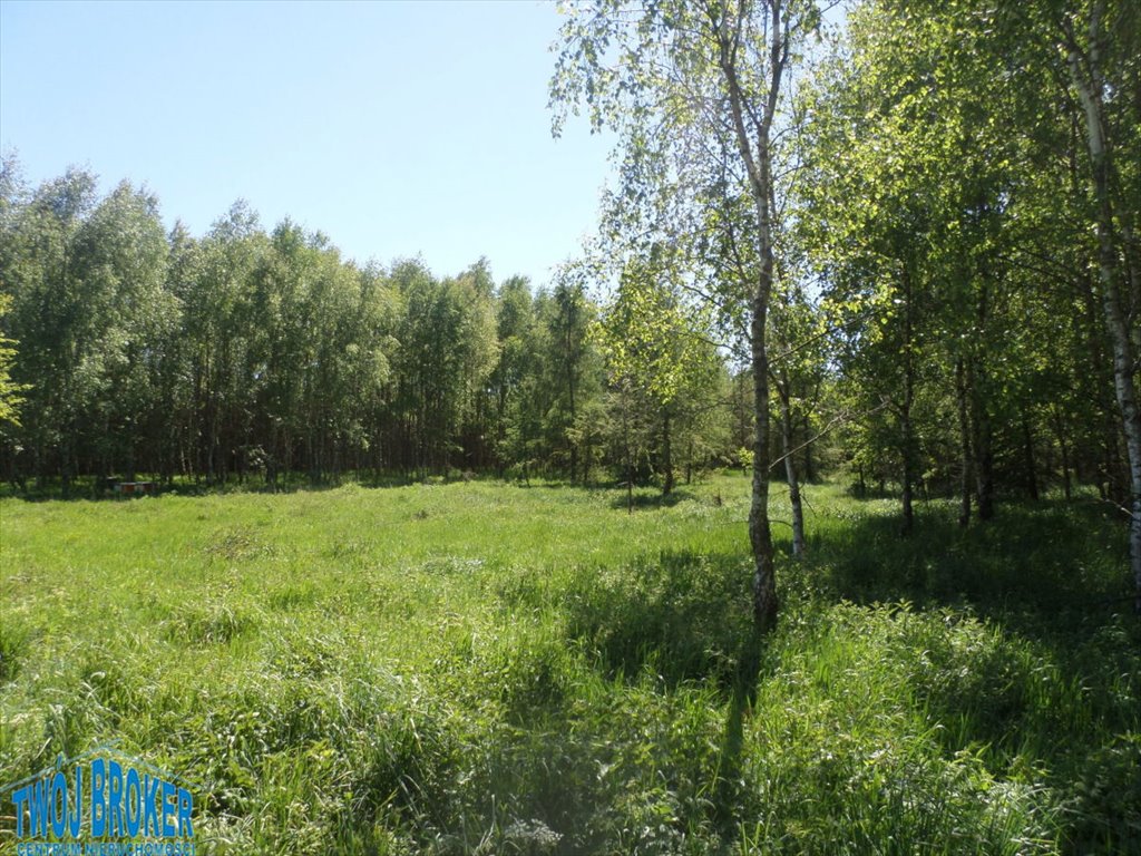 Działka rolna na sprzedaż Strzeczona, Strzeczona  206 000m2 Foto 8