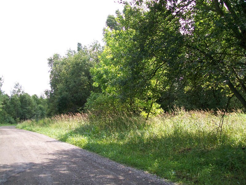 Działka inna na sprzedaż WRĘCZYCA WIELKA, Grodzisko  1 040m2 Foto 1