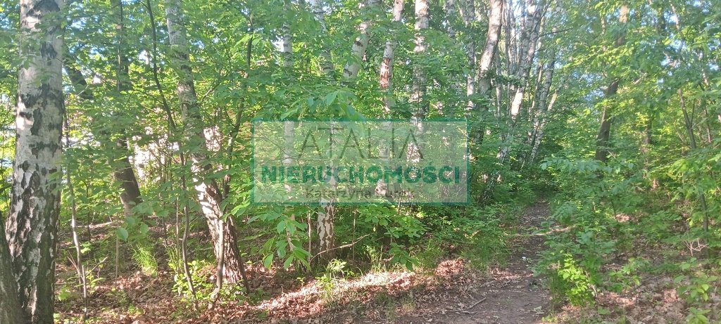 Duża działka rekreacyjna z zabudową i stawem w Książenicach Książenice  13 200m2 Foto 1