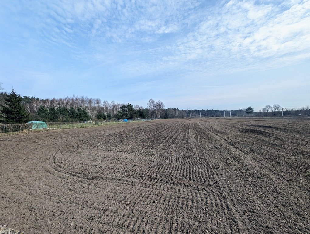 Działka budowlana na sprzedaż Dobroń, Rolnicza  1 564m2 Foto 3