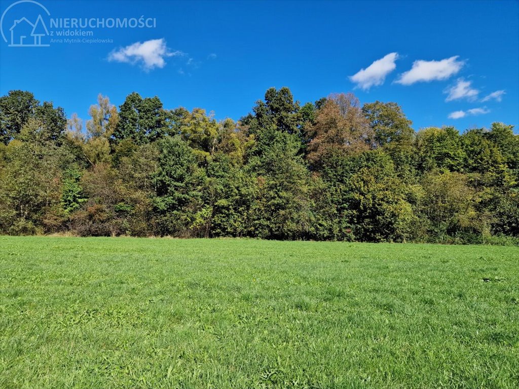 Działka rolna na sprzedaż Strzeszyn  3 900m2 Foto 13