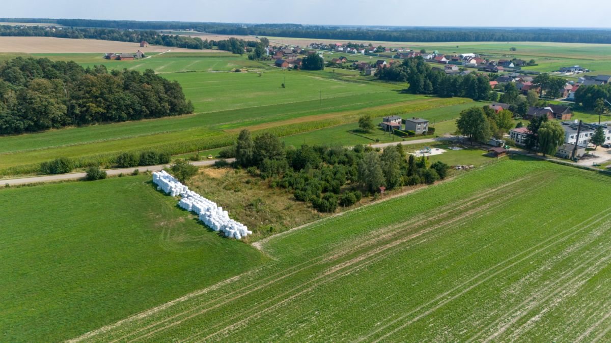 Działka budowlana na sprzedaż Gosławice, Sierakowska  1 242m2 Foto 7