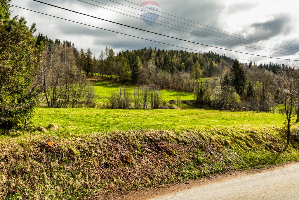 Działka budowlana na sprzedaż Łopuszna  1 550m2 Foto 7