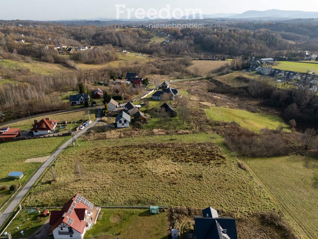 Działka budowlana na sprzedaż Olszowice, Kopań  5 538m2 Foto 5