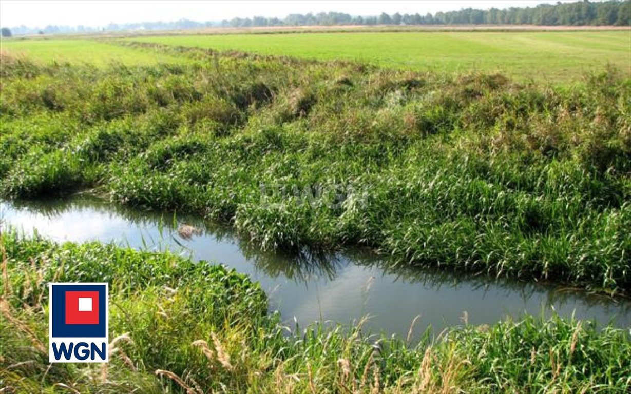 Działka budowlana na sprzedaż Borzynowo, Borzynowo, Borzynowo  30 012m2 Foto 2