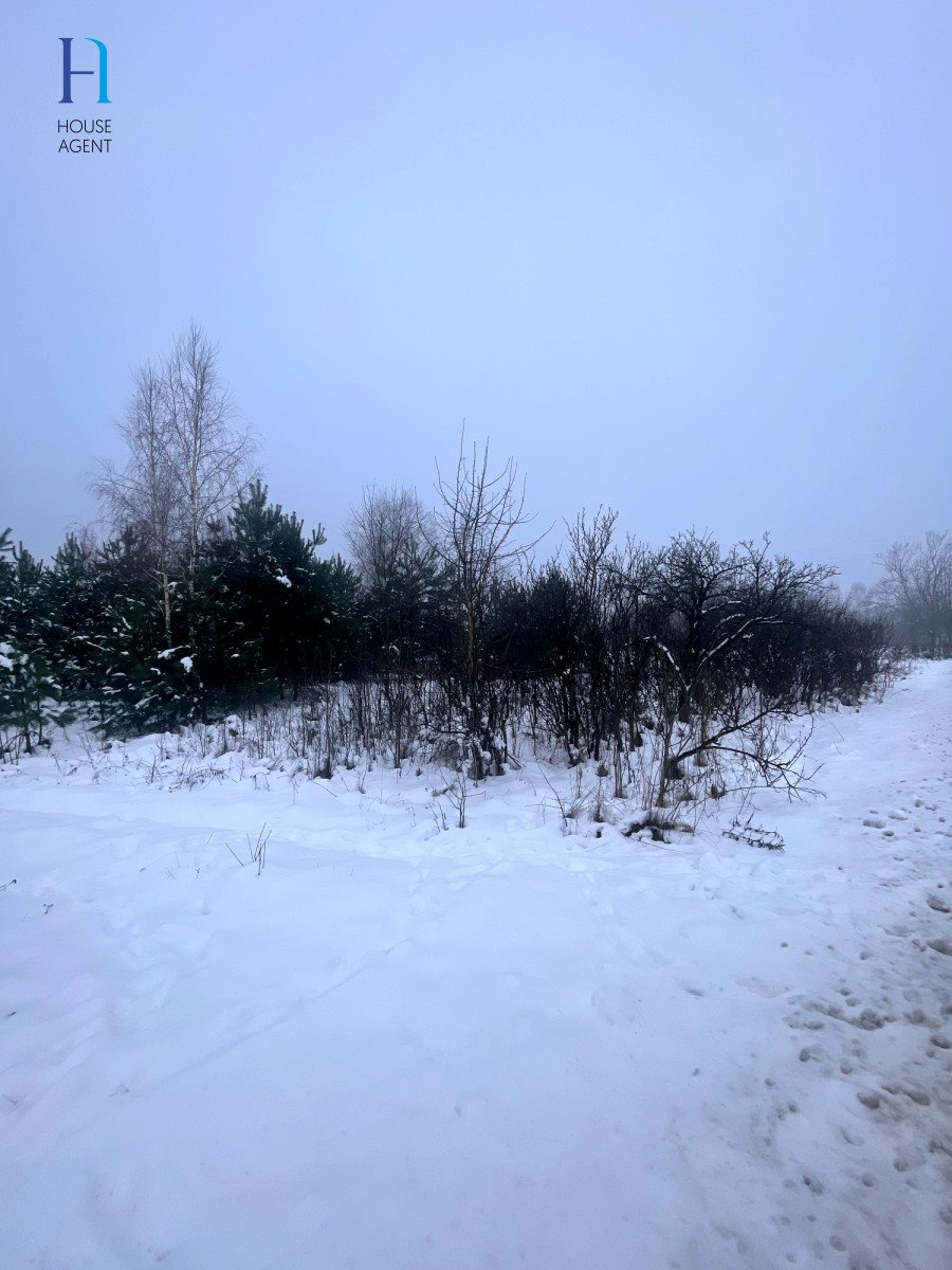 Działka rolna na sprzedaż Janów  6 000m2 Foto 1