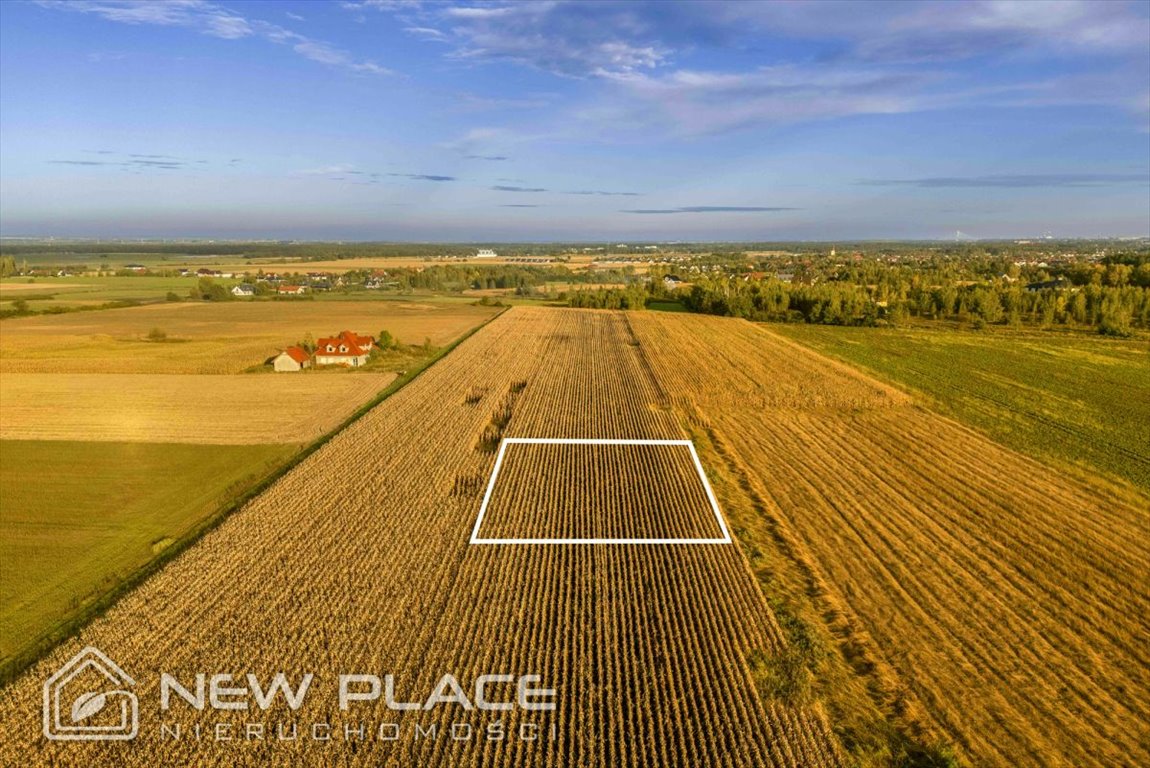 Działka budowlana na sprzedaż Brzezina, Lawendowa  1 003m2 Foto 4