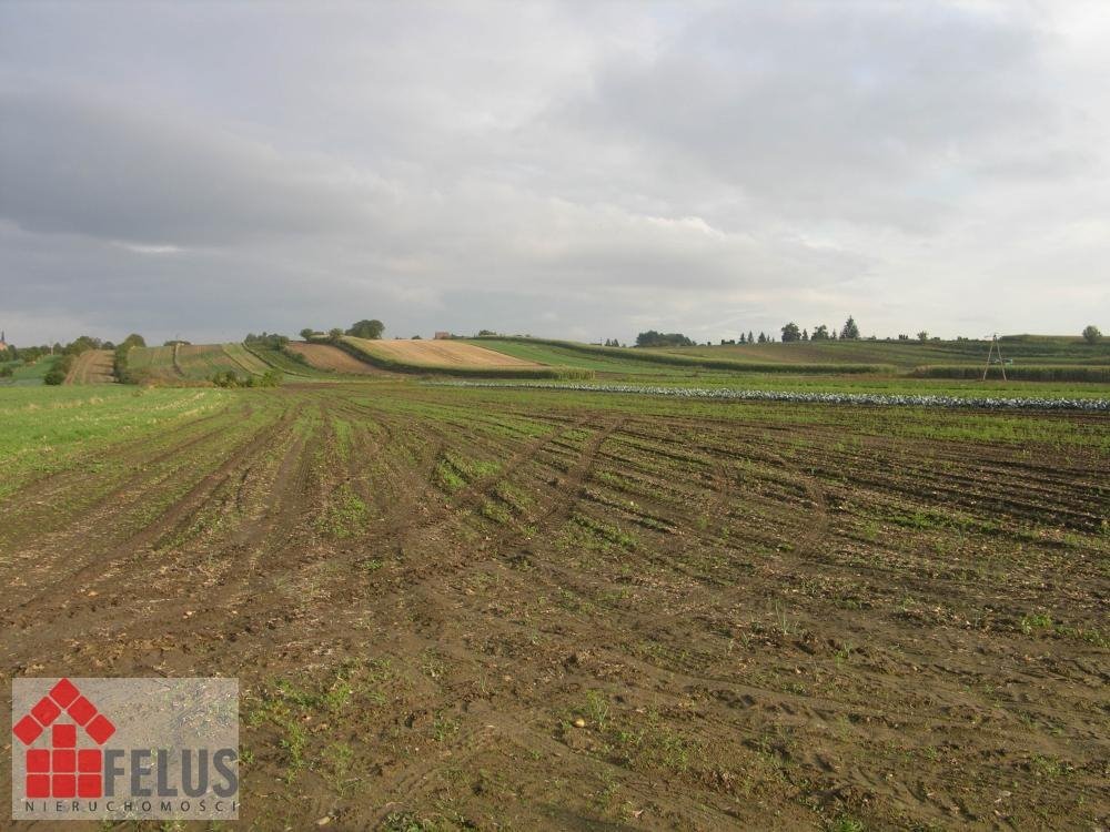 Działka pod zabudowę jednorodzinną w spokojnej okolicy - polecam! Proszowice, Podgórze  5 520m2 Foto 1