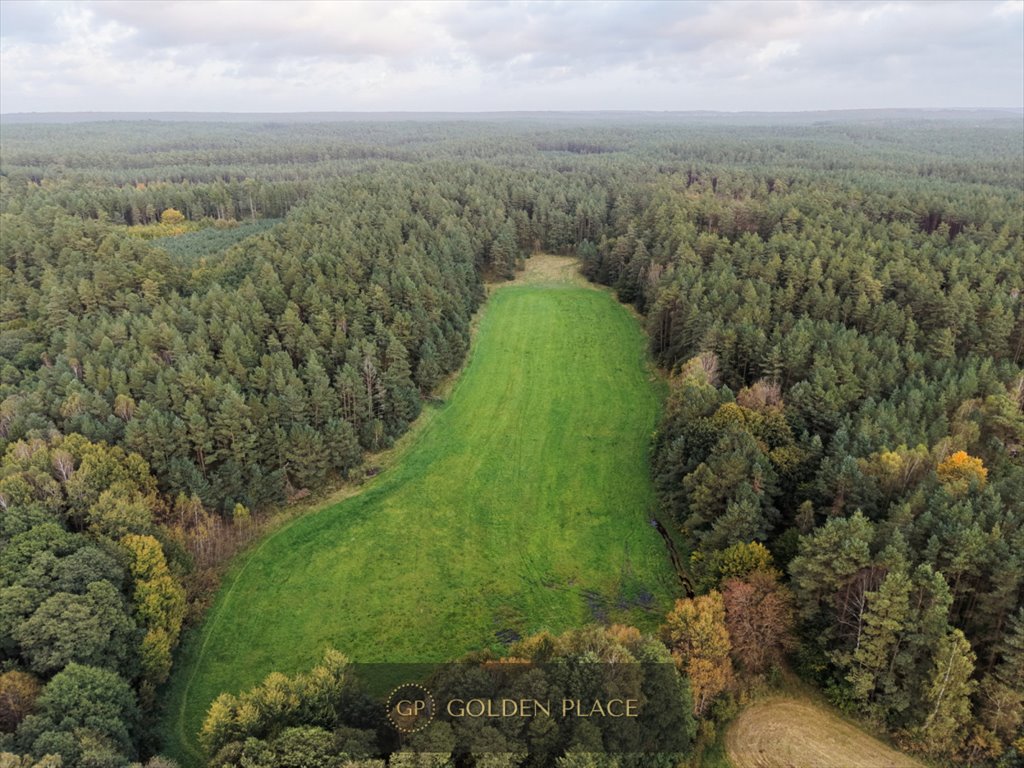Działka gospodarstwo rolne na sprzedaż Orle, Łąkowa  27 446m2 Foto 1