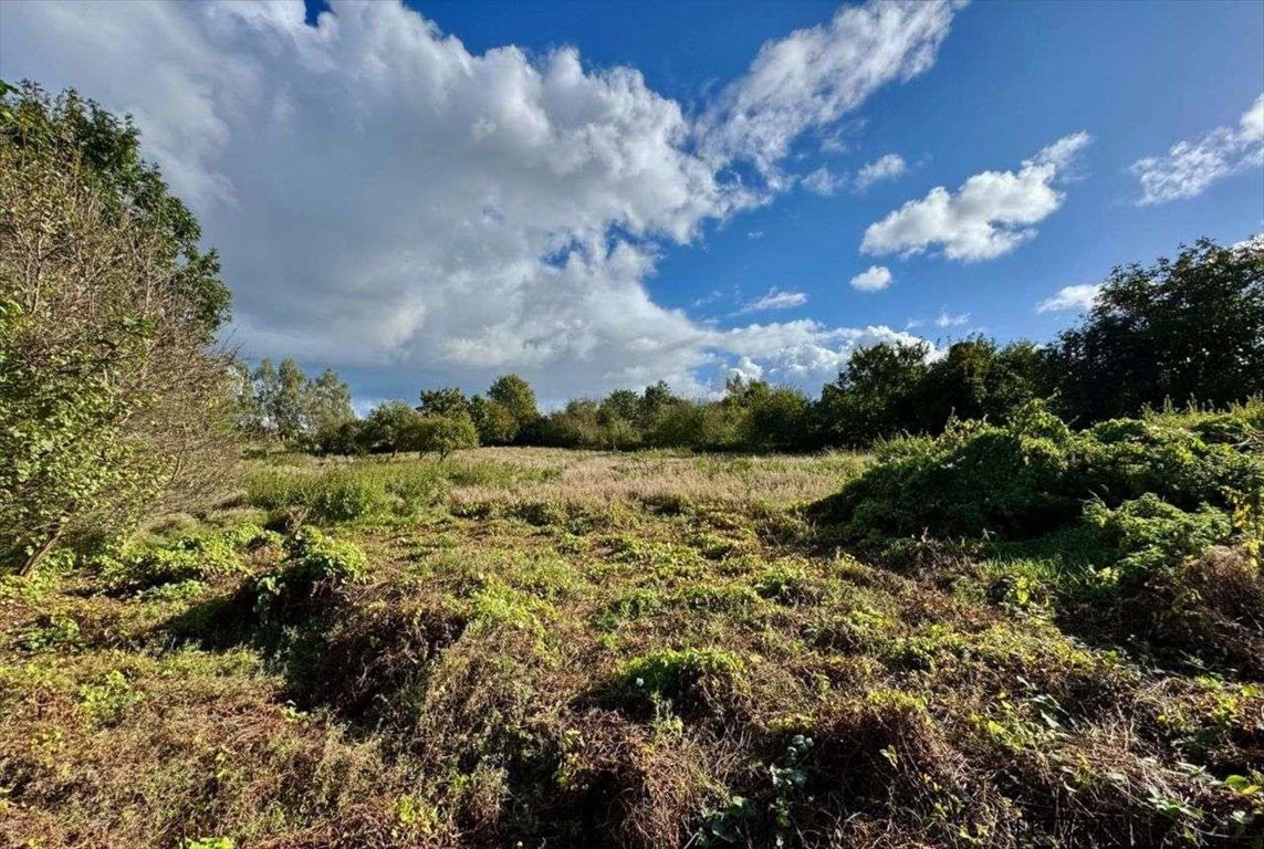 Działka budowlana na sprzedaż Gorzyno  5 800m2 Foto 10