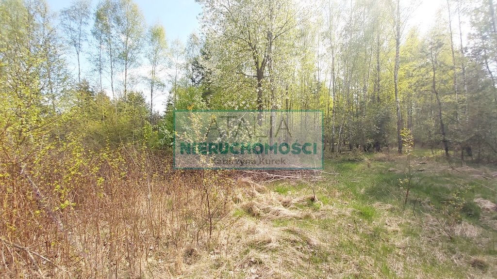 Polecam działkę usługową 8 300 m² z mediami i utwardzonym dojazdem Zalesie  8 300m2 Foto 1
