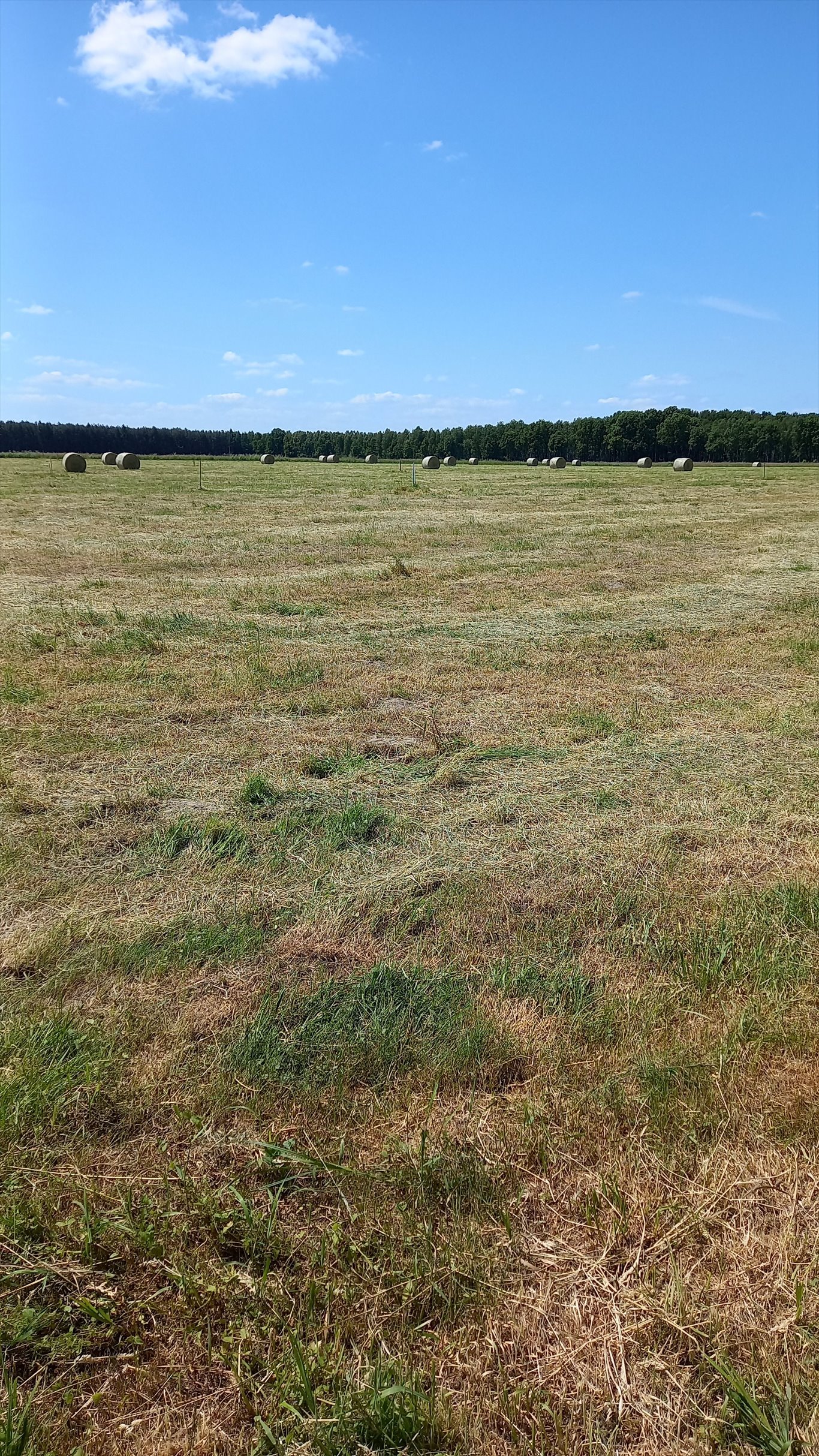 Działka budowlana na sprzedaż Rudziniec  860m2 Foto 2