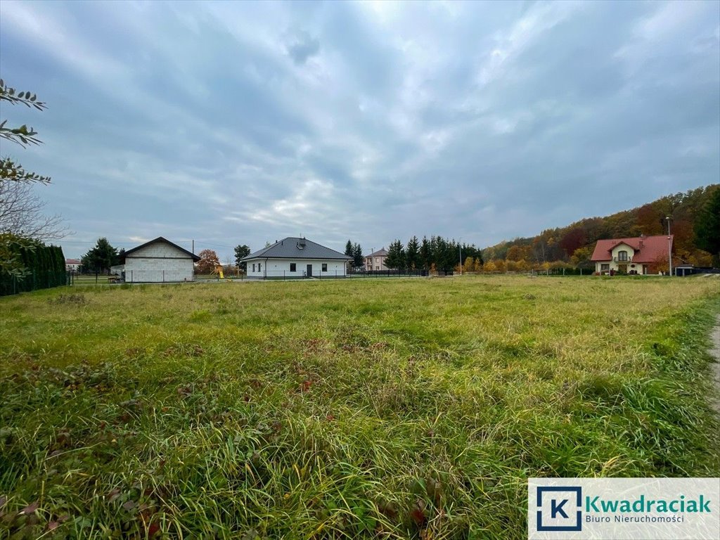 Działka budowlana na sprzedaż Jasło, Niegłowice  2 200m2 Foto 4