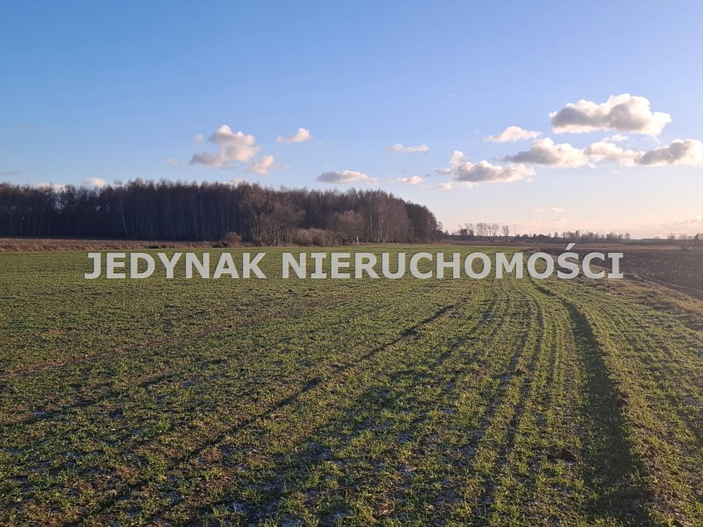 Działki 1000 m² z mediami w Kruszynie Krajeńskim polecam Kruszyn Krajeński  1 000m2 Foto 1