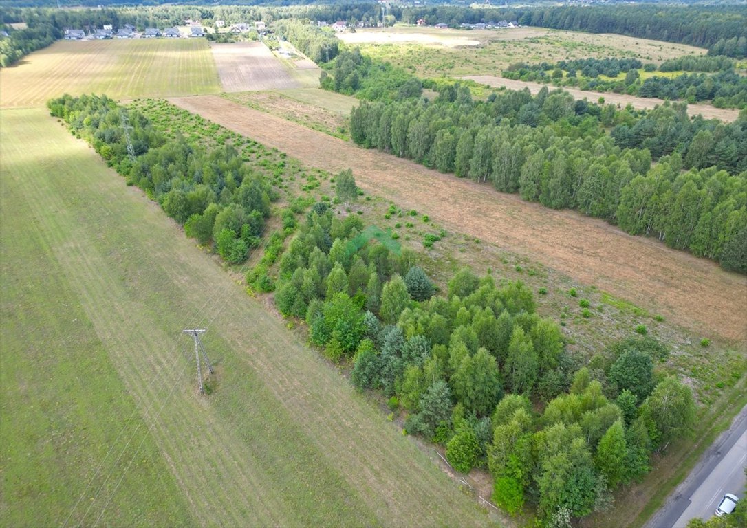 Działka inna na sprzedaż Aleksandria  9 800m2 Foto 4