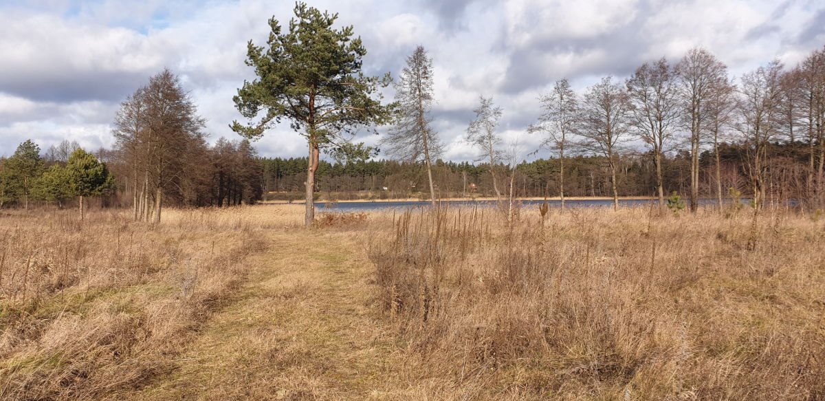 Sprzedam działkę 1220 m² z widokiem na jezioro Kalwa Miłuki, Miłuki  1 220m2 Foto 1