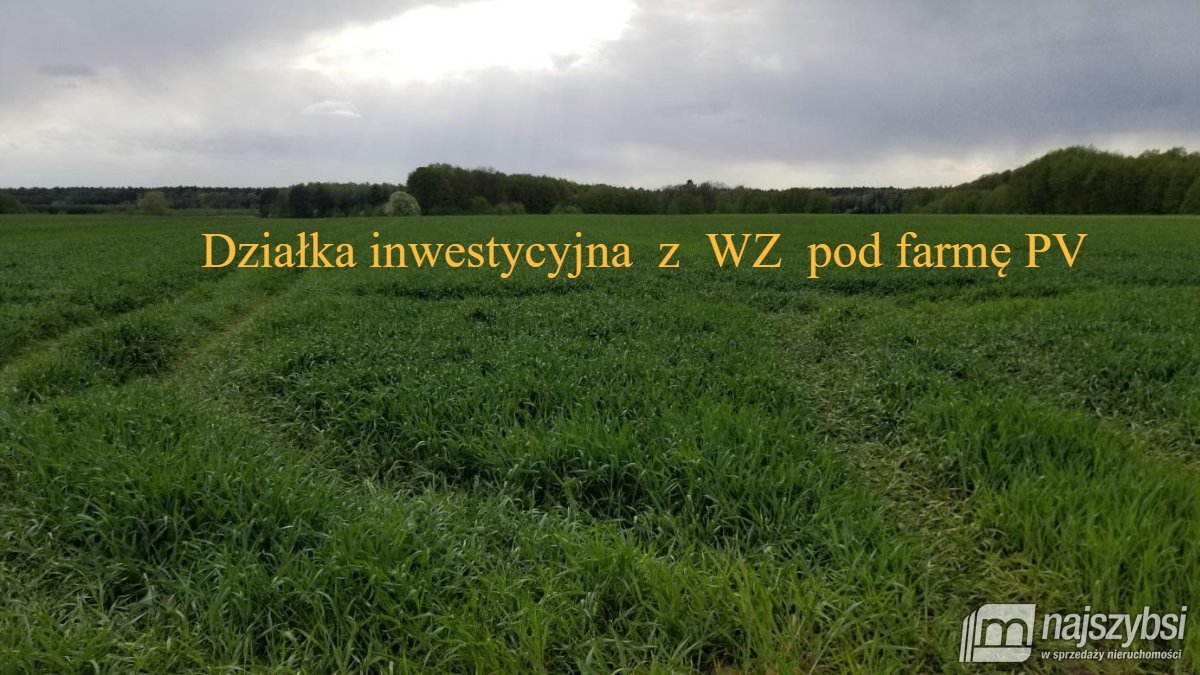 Działka rolna 2,5 ha pod farmę fotowoltaiczną z dostępem do drogi Przemocze, wieś  25 021m2 Foto 1