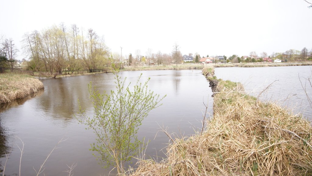 Działka 54 ha z stawami i lasem, inwestycja lub rekreacja Lublin, Zemborzyce  54 200m2 Foto 1