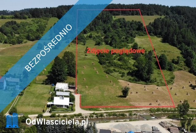 Działka budowlana na sprzedaż Powroźnik  59 100m2 Foto 4