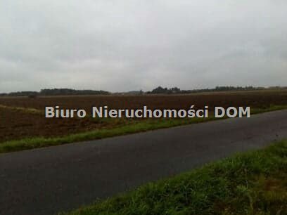 Działka rolna 55 050 m² w Krasicach – idealna pod gospodarstwo Krasice  55 050m2 Foto 1