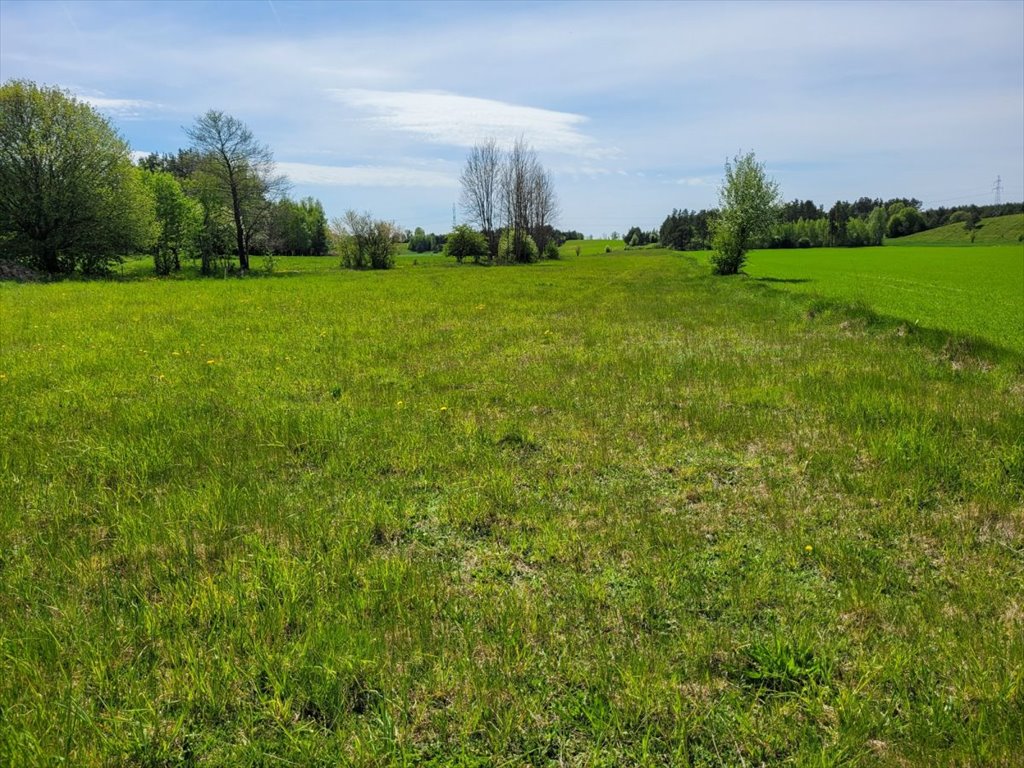 Działka budowlana na sprzedaż Osowa  18 700m2 Foto 3