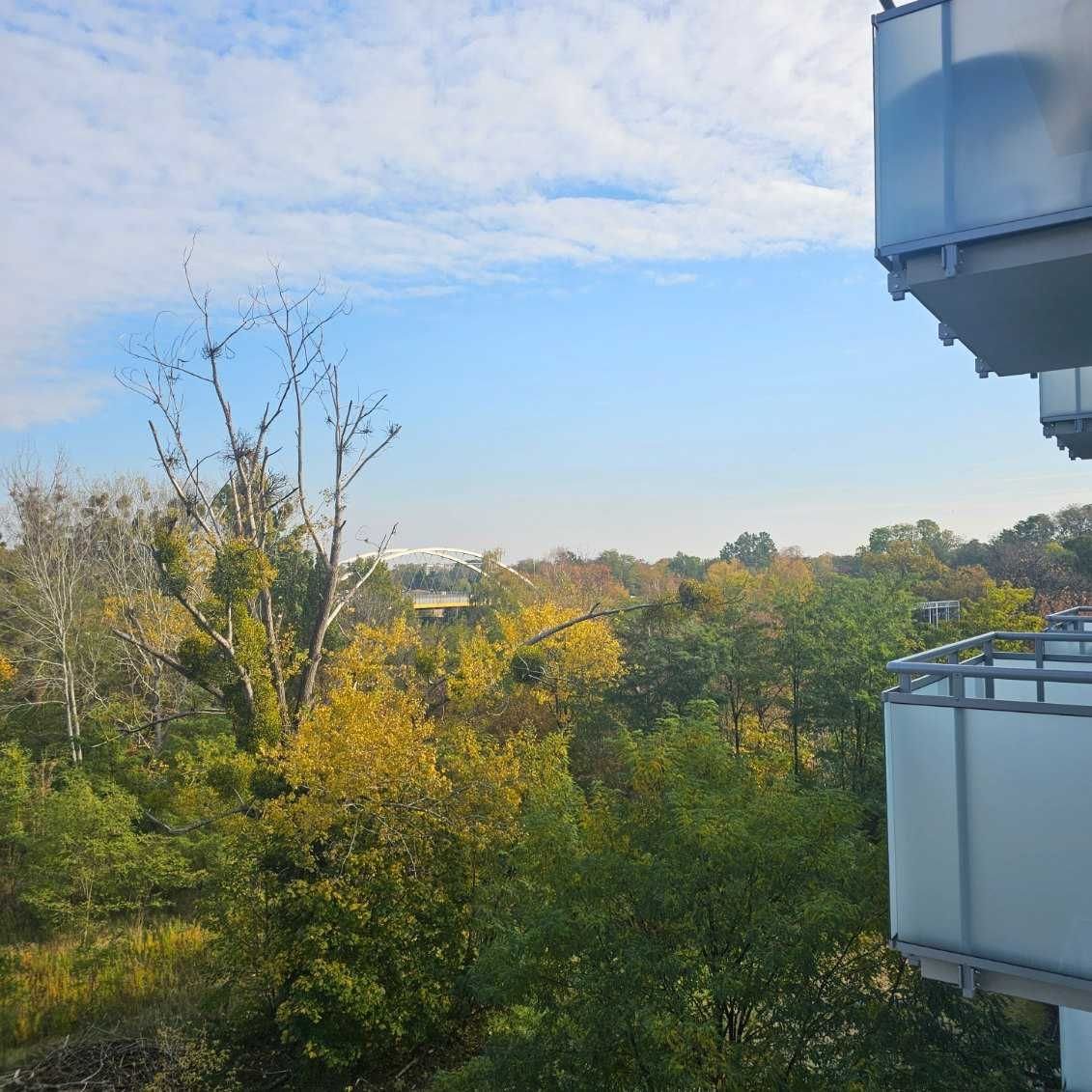 Mieszkanie dwupokojowe na sprzedaż Grodzisk Mazowiecki, Chrzanowska  39m2 Foto 5