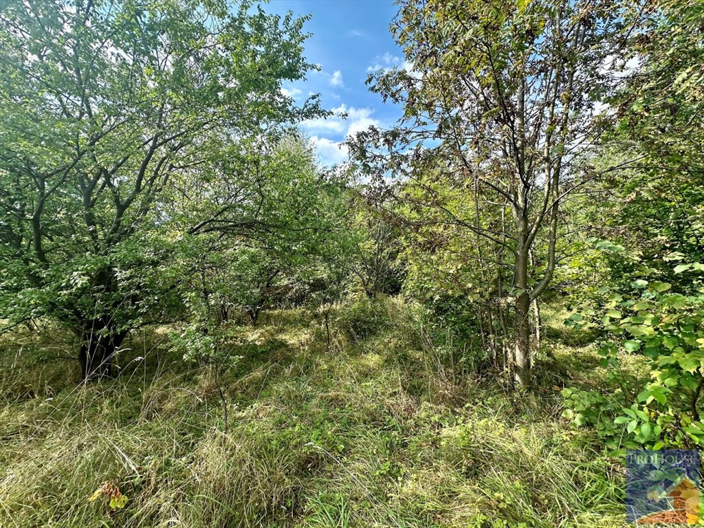 Działka budowlana na sprzedaż Limanowa, Stara Wieś  5 700m2 Foto 10