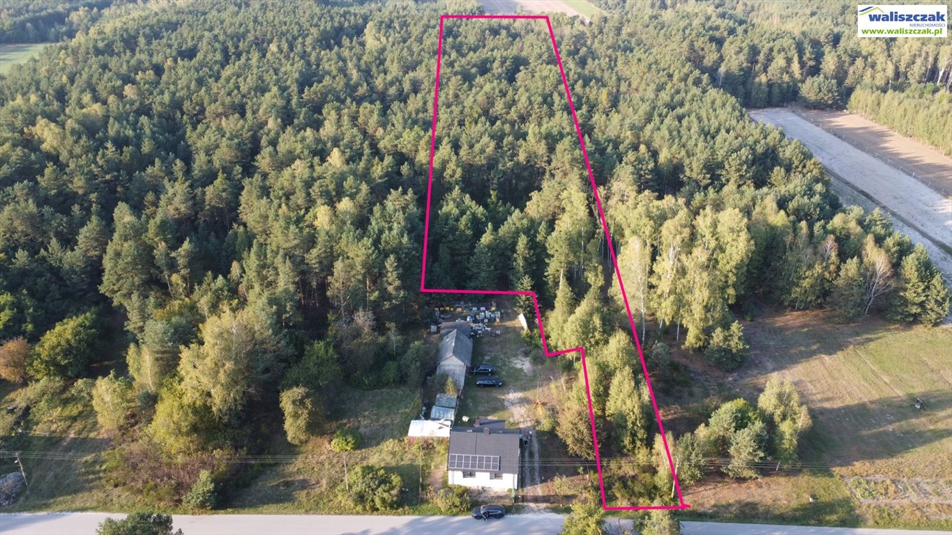 Działka leśna na sprzedaż Olimpiów  14 172m2 Foto 1