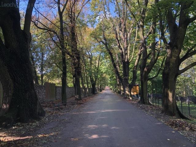 Na sprzedaż działka 10 400 m² z pozwoleniem na dom w Krakowie Kraków, Zwierzyniec, Salwator, al. Waszyngtona, Jerzego  10 400m2 Foto 1