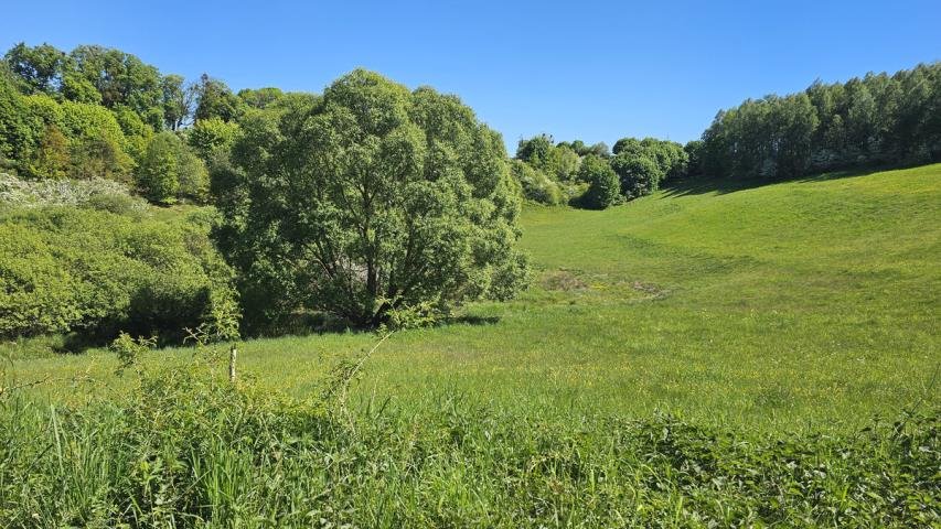 Działka inwestycyjna na sprzedaż Gubity  13 600m2 Foto 4