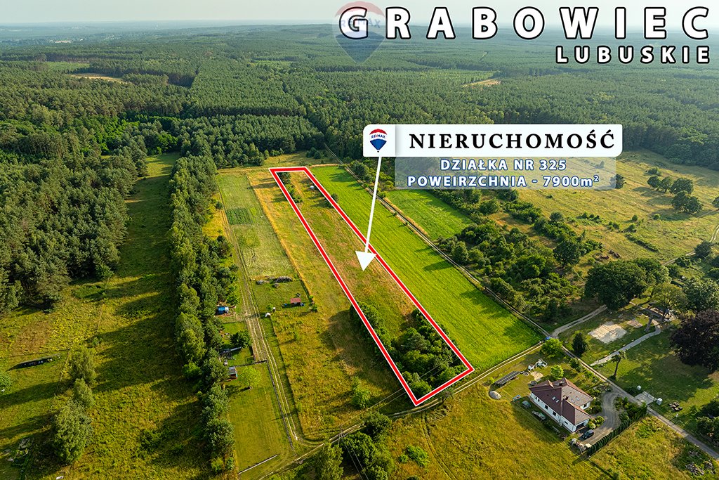 Działka rolna na sprzedaż Grabowiec  7 900m2 Foto 4