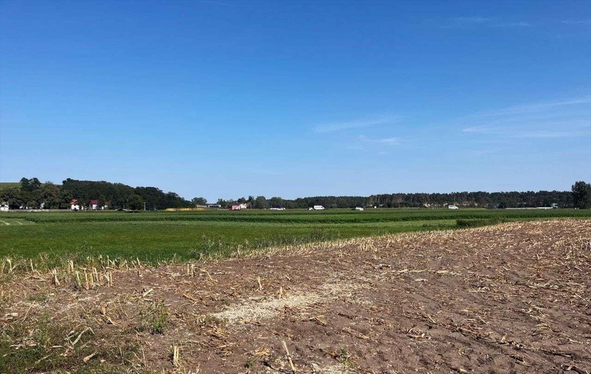 Działka budowlana na sprzedaż Gostyń  56 000m2 Foto 3