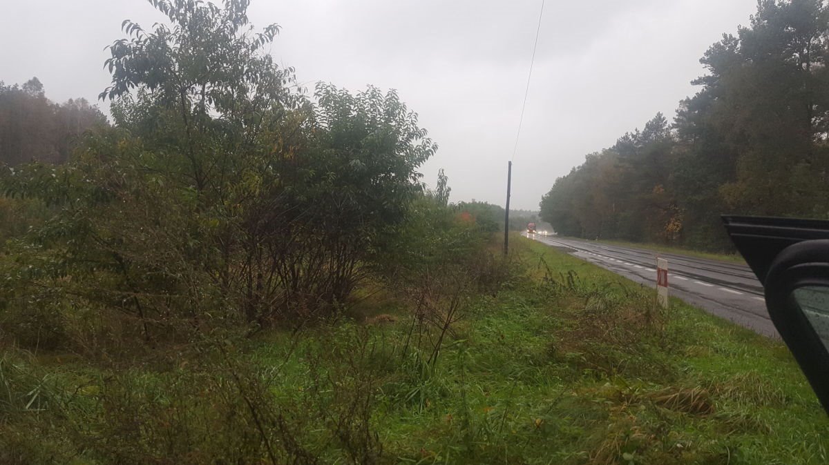 Działka 3,65ha z warunkami pod stadninę i domem Piotrowo, Piotrowska  36 500m2 Foto 1