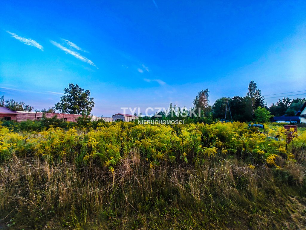 Działka budowlana na sprzedaż Kozerki  10 800m2 Foto 5