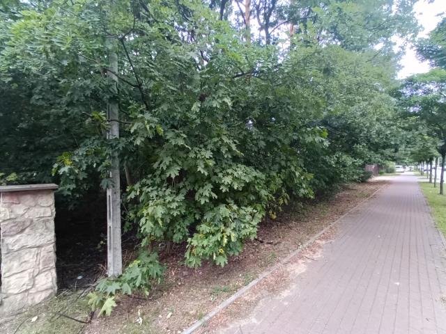 Działka budowlana na sprzedaż Legionowo  2 152m2 Foto 6