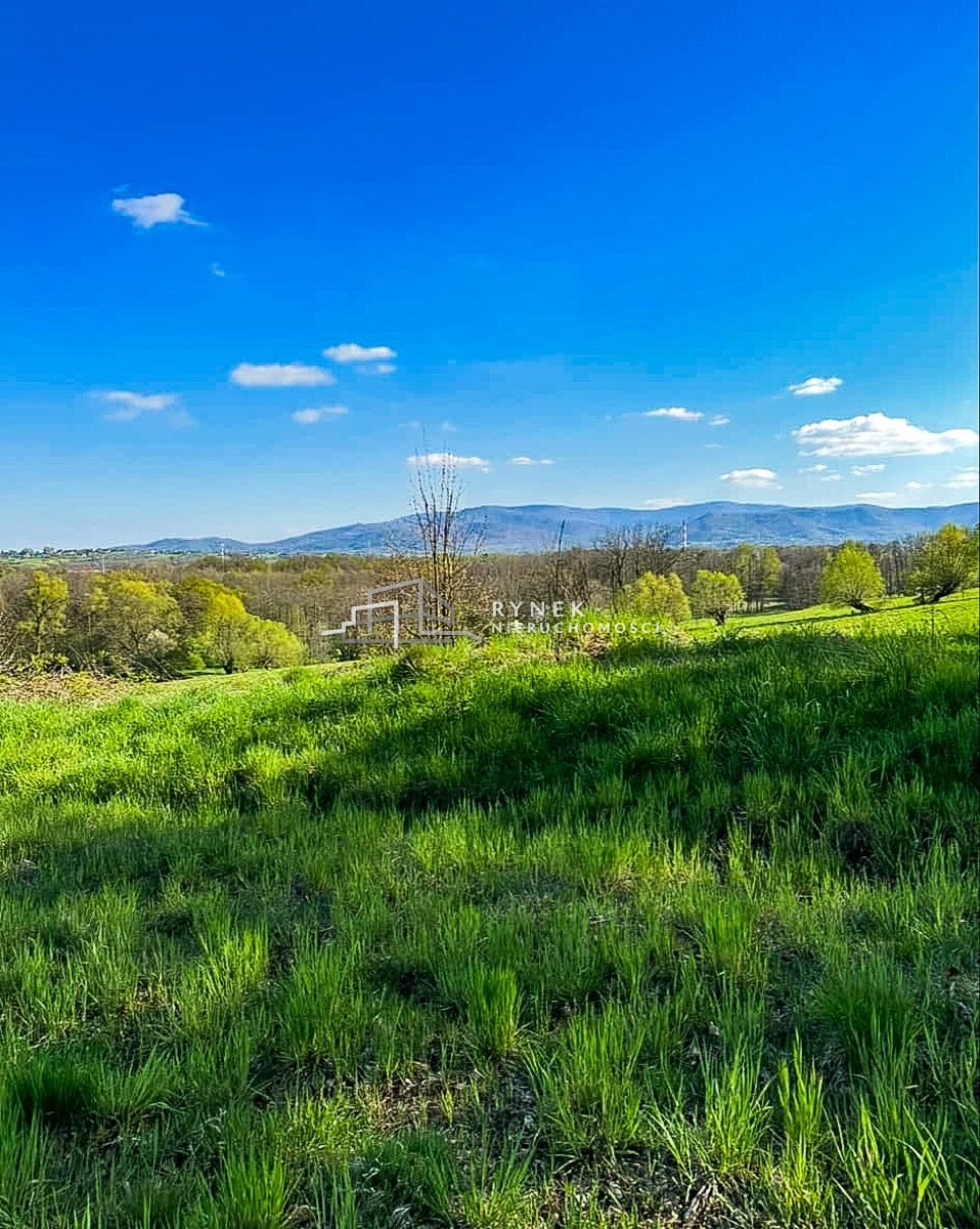 Działka inna na sprzedaż Międzyrzecze Dolne  3 030m2 Foto 2