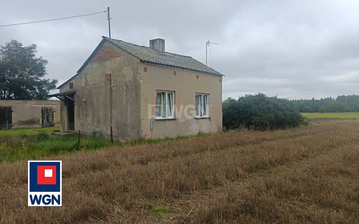 Urokliwe siedlisko w Grzegorzewie (48 m², 60 arów) z dostępem do rzeki Grzegorzew, Otaląż  48m2 Foto 1