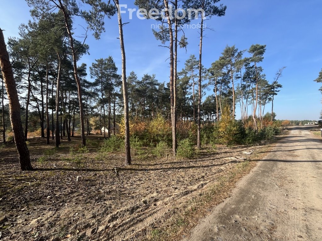 Działka budowlana na sprzedaż Czarne Błoto, Górna  1 000m2 Foto 5