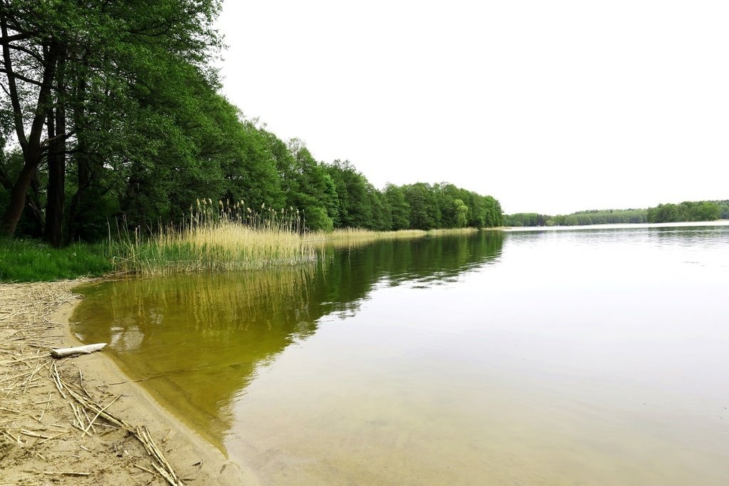 Dom na sprzedaż Słonecznik  71m2 Foto 9