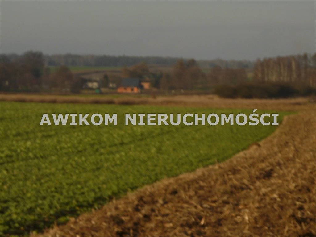 Działka rolna na sprzedaż Nowy Kawęczyn, Nowy Dwór-Parcela  10 900m2 Foto 6