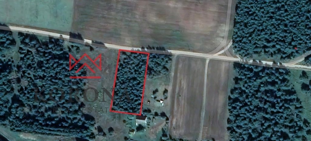 Działka 3000 m² w Piłatowszczyźnie – cisza i przyroda Piłatowszczyzna  3 000m2 Foto 1