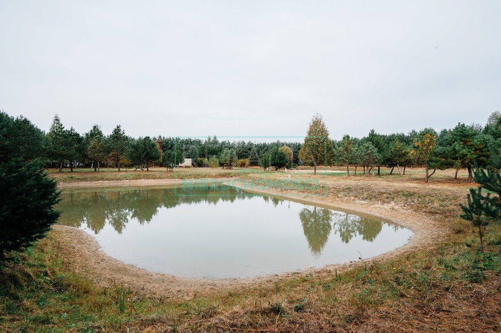 Działka budowlana na sprzedaż Podlasie  12 000m2 Foto 2