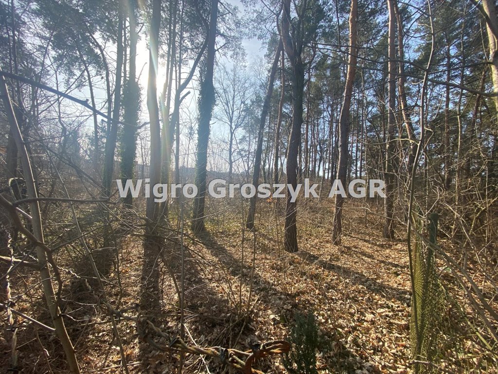 Na sprzedaż działka 1400 m² z mediami i lasami w Dąbrowie Leśnej Łomianki, Dąbrowa Leśna  1 405m2 Foto 1