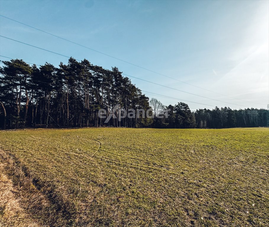 Działka rolna 23 700 m² z dostępem do drogi Ostrzeszów-Pustkowie  23 700m2 Foto 1